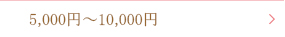 5000円〜10000円