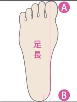足の裏の図