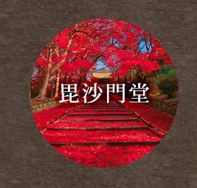 風景　秋色の紅葉参道（京都）　1000ピース
