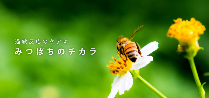 楽天市場 健康食品 蜜蜂のチカラ 過敏体質ケア 順造選オンラインショップ