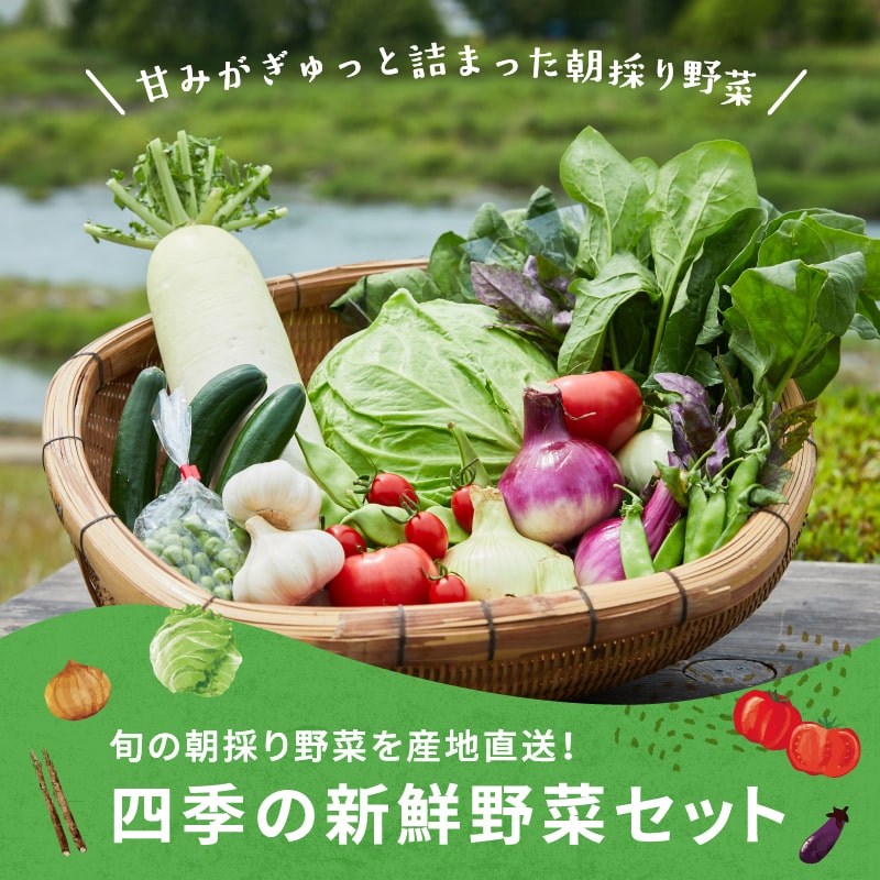 四季の新鮮野菜セット