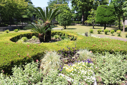 山本有三記念館　広くて美しい庭