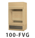 100-FVG