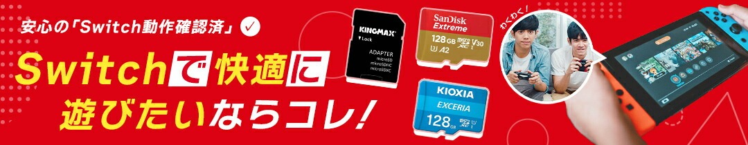  SDカード SD 1GB ハイブリッドSD USB INX JAPAN YouSDII USB2.0端子一体型 R:20MB s 防水仕様 携帯用ハードケース付 バルク INX-USDII1GAH ◆メ