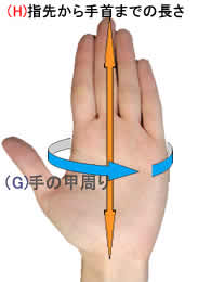 手の測り方