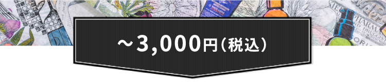 ～3000円（税込み）