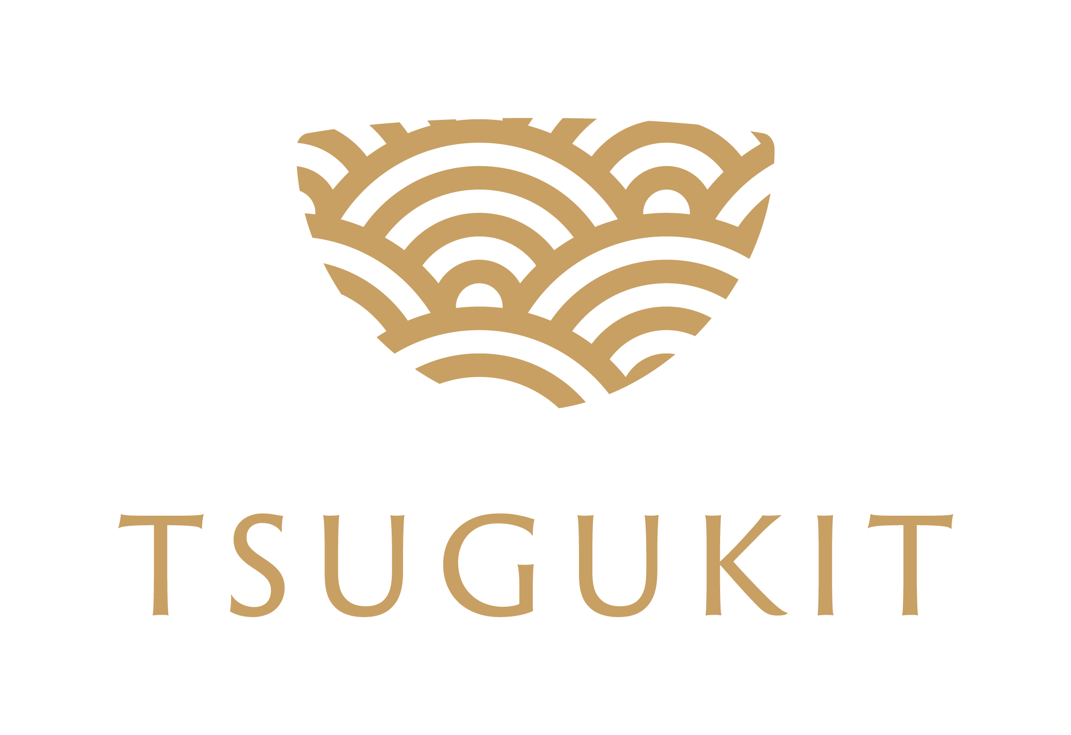 金継ぎキット初心者用【TSUGUKIT/つぐキット】 Kintsugi Kit for Beginners