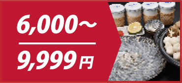 6000〜9999円