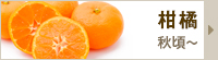 柑橘,日本グルメ