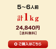 1kg 20520円