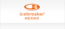 アイスブレーカー(icebreaker)
