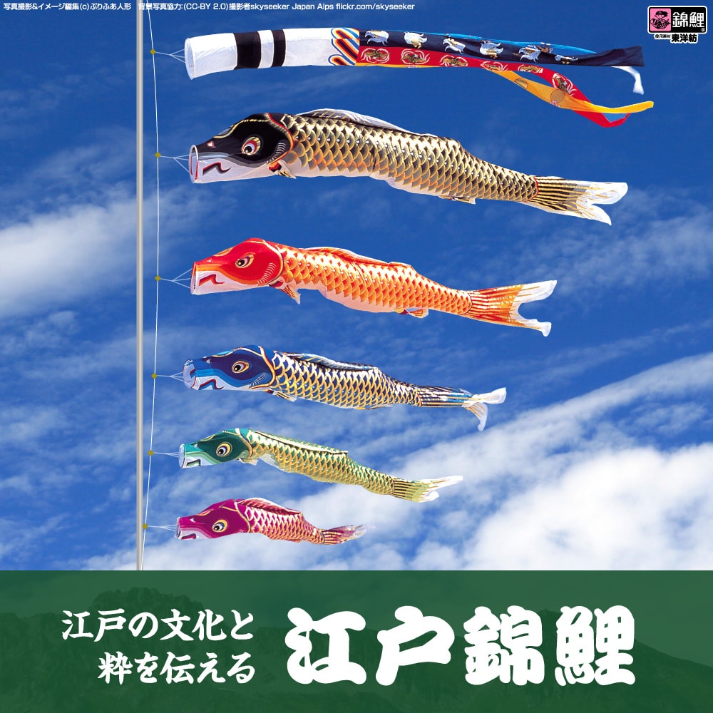ワタナベ鯉のぼり 江戸錦鯉 | Prefer