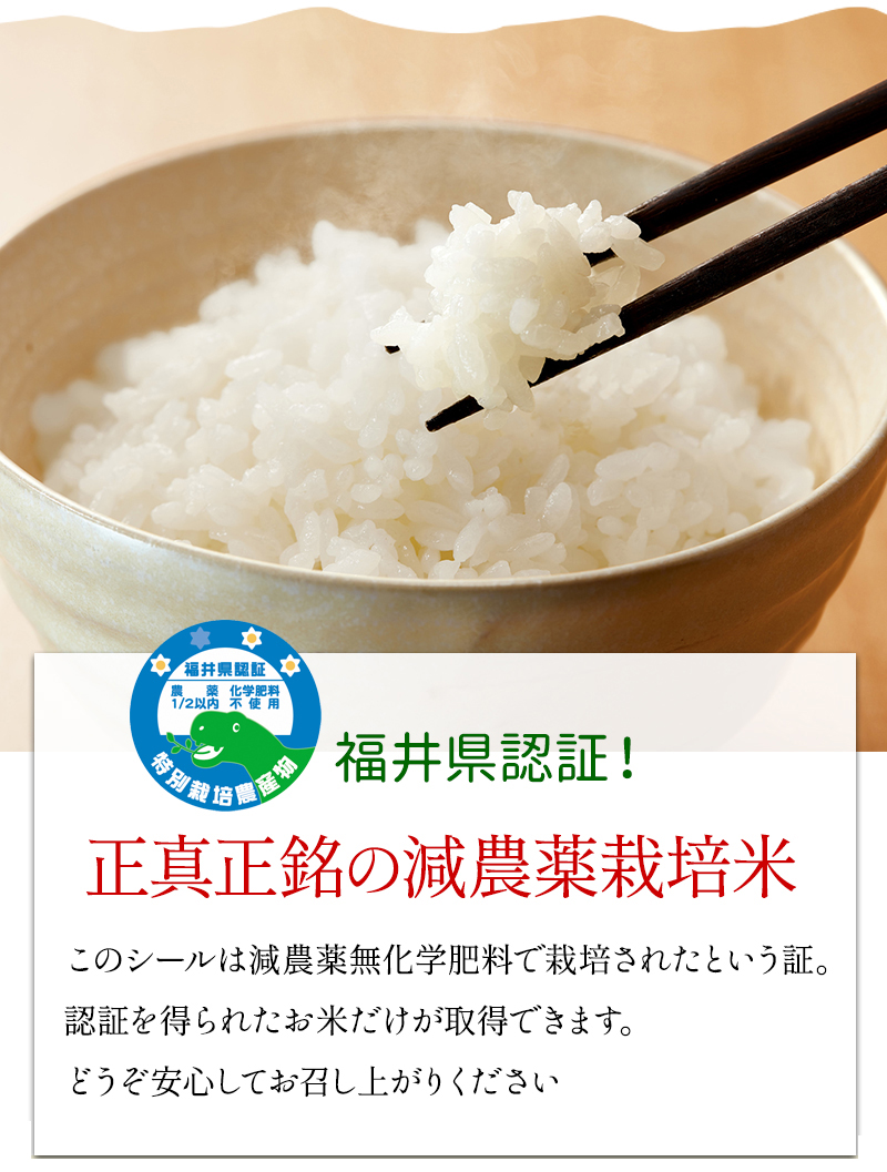 令和3年産 新米 無農薬栽培米 ミルキークイーン 玄米 2kg３個