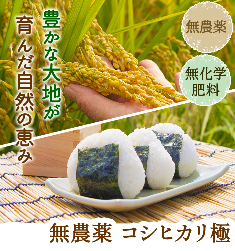 ミー様専用 新米 無農薬コシヒカリ玄米20kg(2.5kg×8)令和4年産-