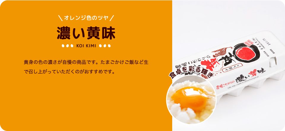 オレンジ色のツヤ　濃い黄味 KOI KIMI 黄身の色の濃さが自慢の商品です。たまごかけご飯など生で召し上がっていただくのがおすすめです。