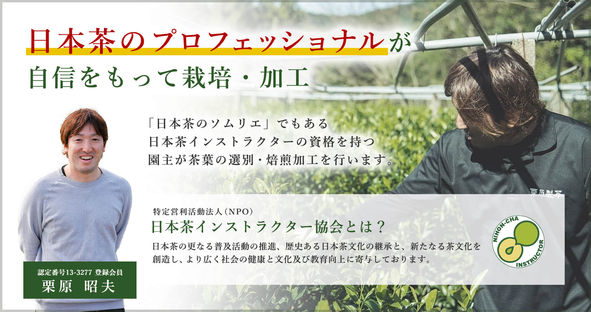 日本茶のプロフェッショナルが自信をもって栽培・加工