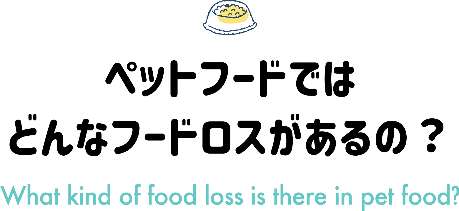 ڥåȥաɤǤϤɤʥաɥΡ | What kind of food loss is there in pet food?
