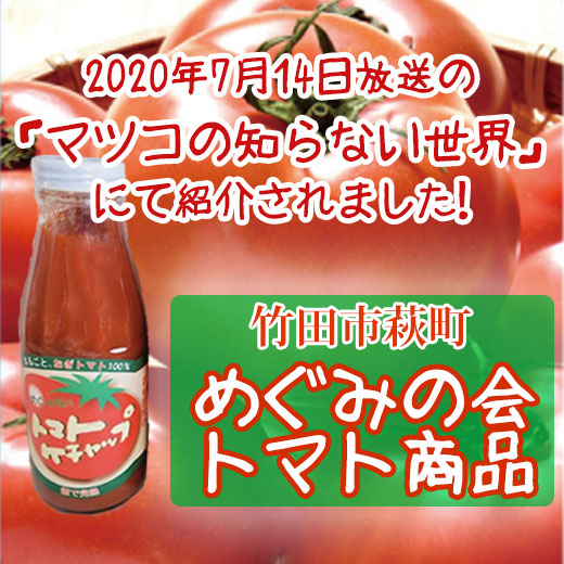 トマトケチャップ　めぐみ会