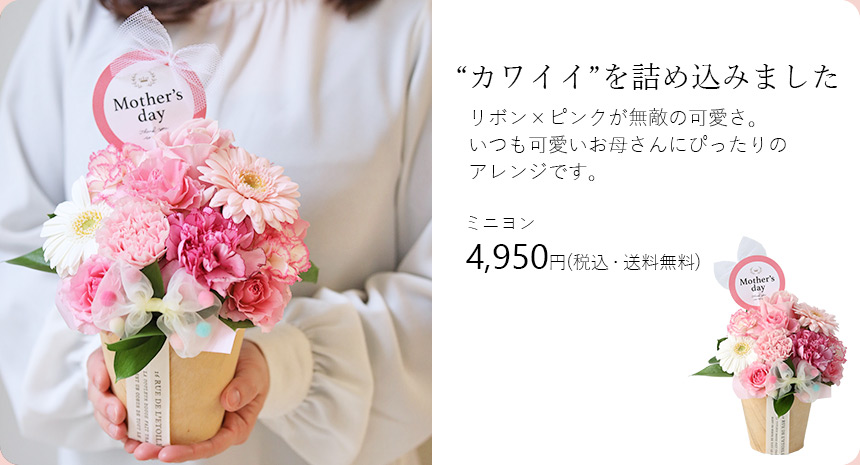 ミニヨン 4950円
