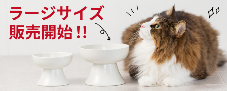 nyagomi猫 食器 フードボウル 皿 磁器 ラージサイズ(未使用品)