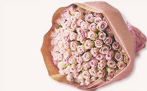 ピンクのバラ花束 100本
