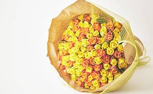リンクフローリスト 黄色オレンジのバラ100本