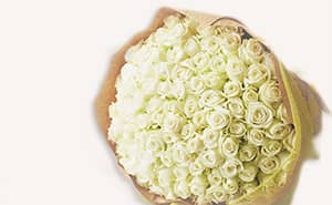白いバラの花束 100本