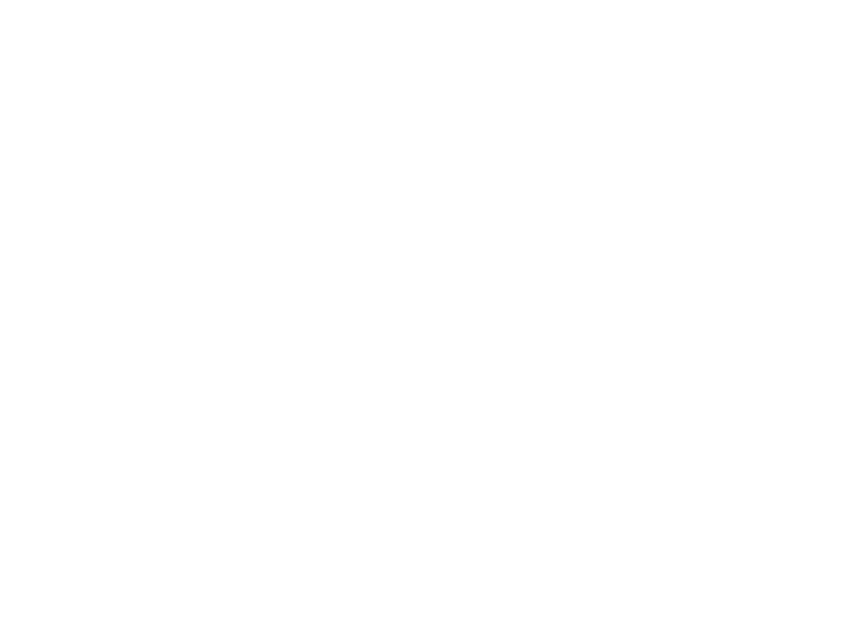 No3 stella_dream