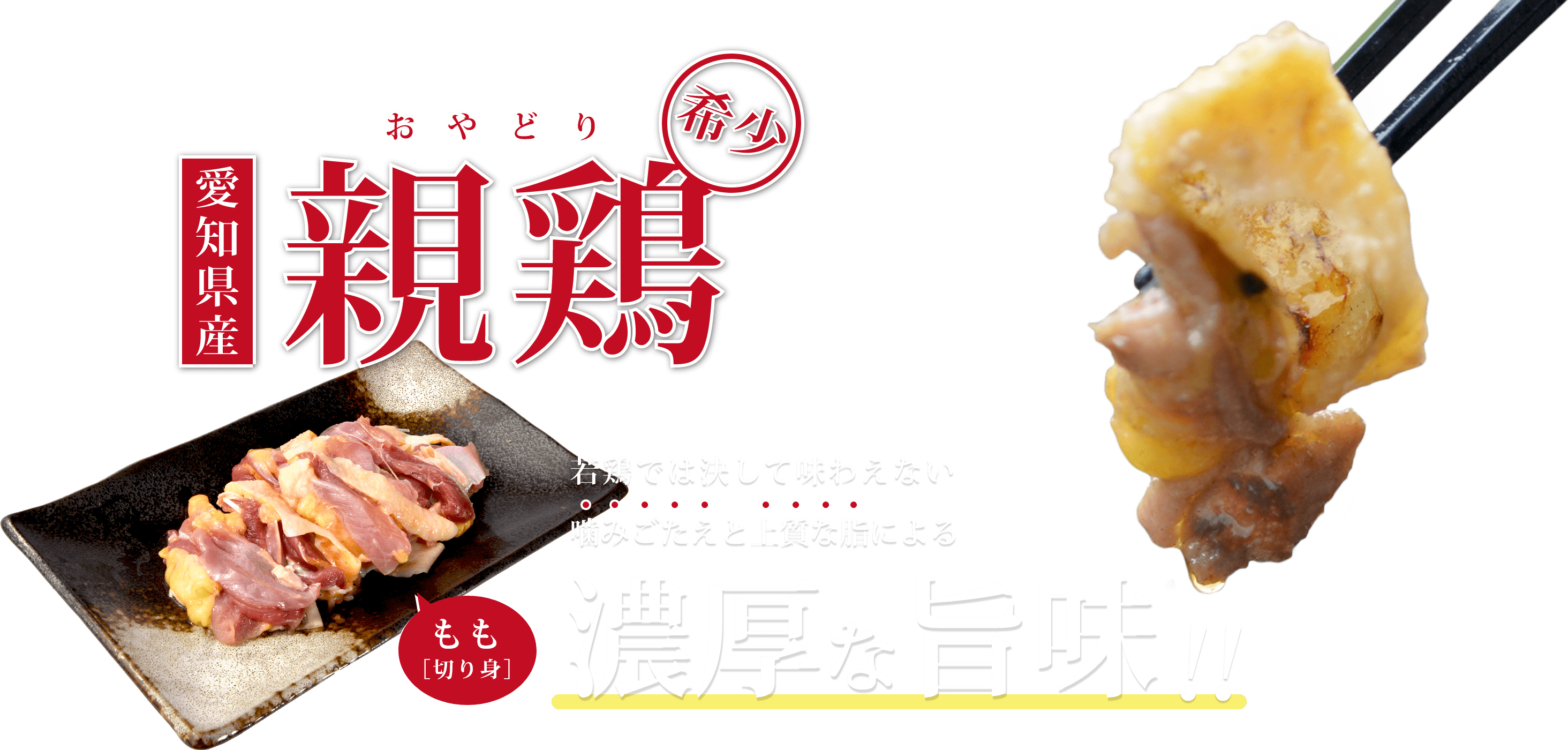 愛知県産親鶏 ［切り身］もも300g 若鳥では決して味わえない濃厚な旨味！