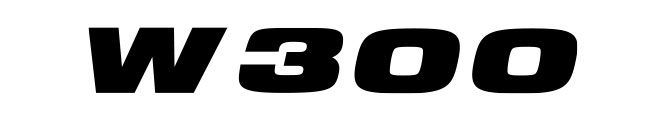 ロゴ：W300
