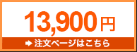 13900円