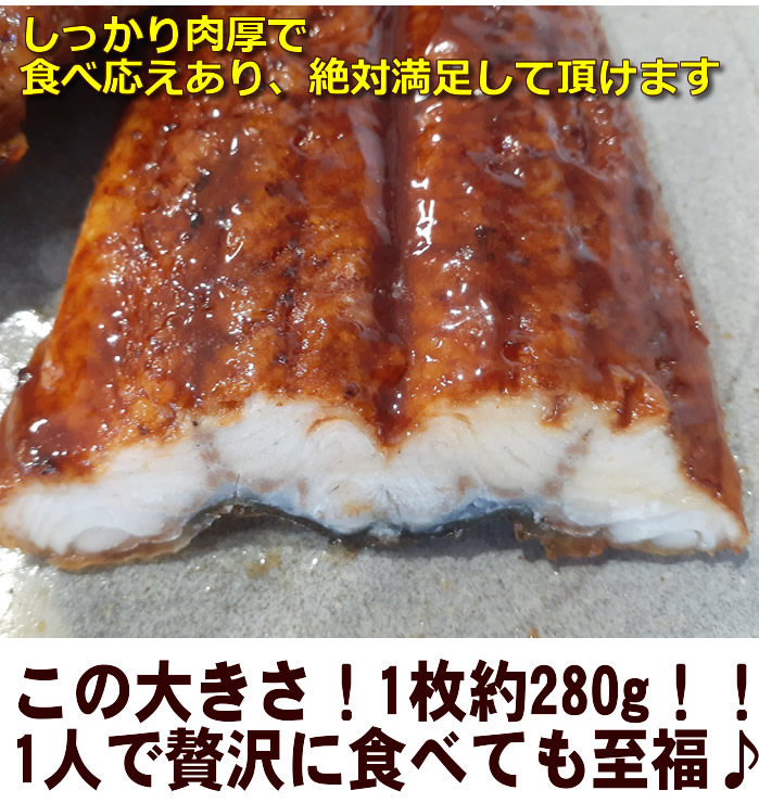 【楽天市場】＊特大！鰻の蒲焼 約280g 1尾 タレは日本製。肉厚・脂のりもよくうまうま♪うなぎのかば焼き ウナギの蒲焼 鰻蒲焼 鰻の蒲焼
