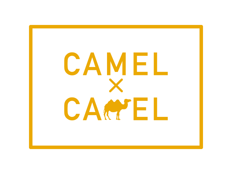 CAMEL×CAMEL
