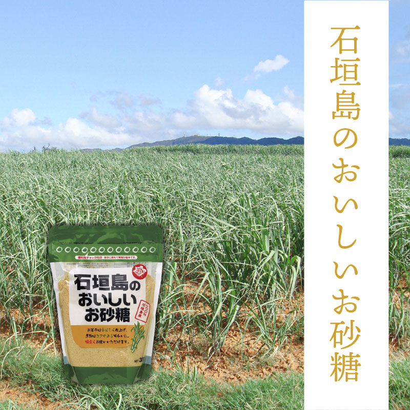 石垣島のおいしい砂糖｜320g×1個