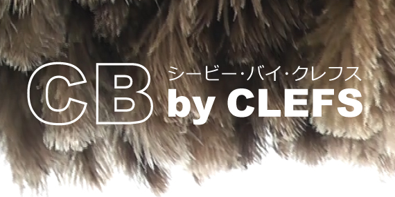 自動車用毛ばたき CB by CLEFS（シービー）