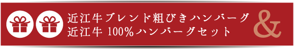 近江牛ブレンド粗びきハンバーグ＆近江牛１００％ハンバーグセット