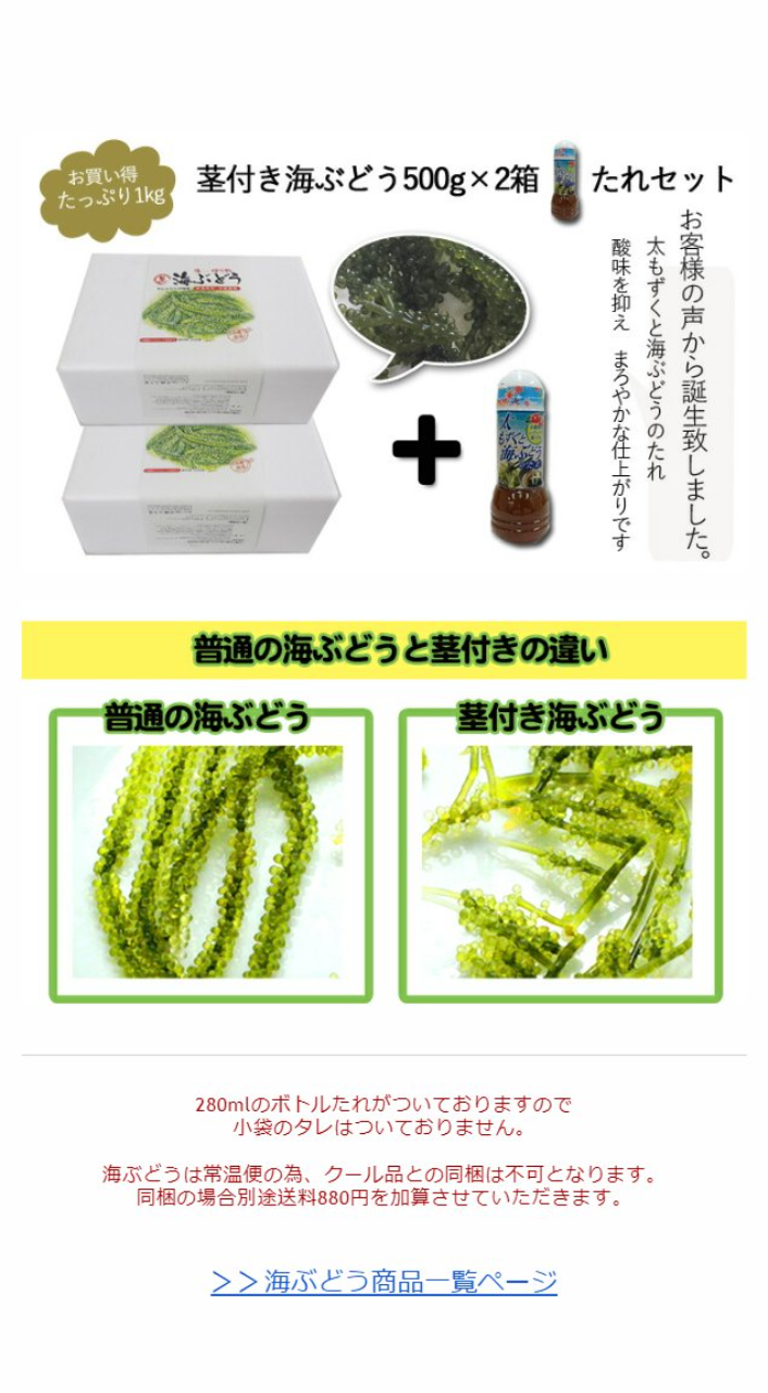 生！海ぶどうドーンと1kg (茎付き)タレ付き☆生産者が送る“鮮度抜群”海ぶどう 通販