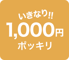 1000円ポッキリセール