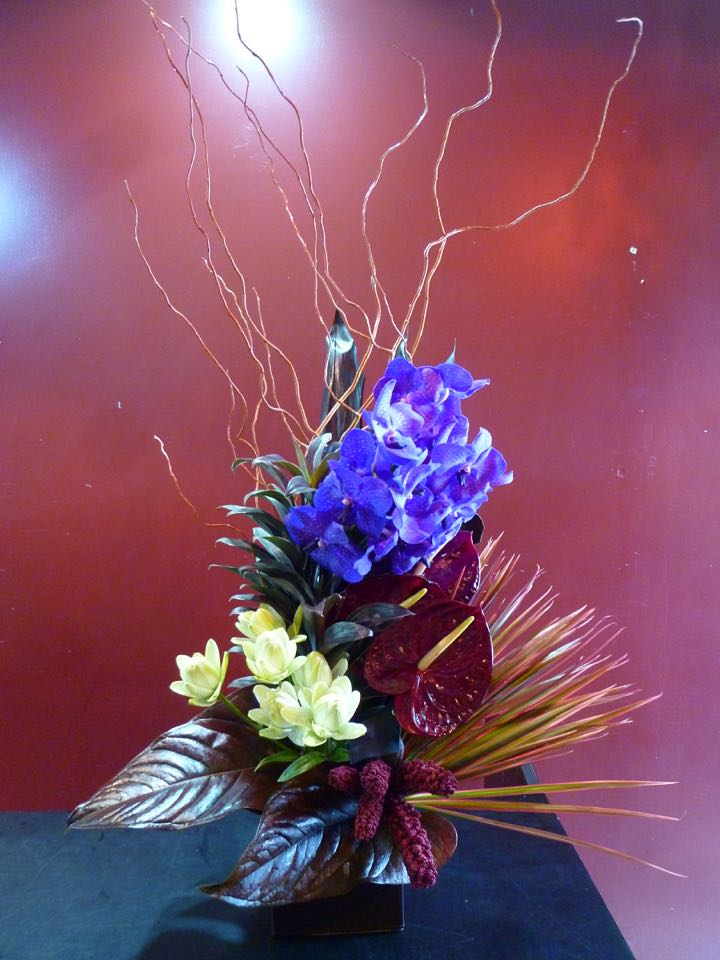 お祝いに 蘭 プレゼント 花 観葉植物 誕生日 バン バン ドラセナ アンスリュームドラゴン柳 ドラセナ 花屋 レッドリーブス ブラックリーフ Mobbs