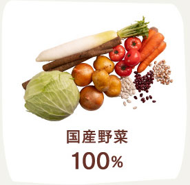 国産野菜100％