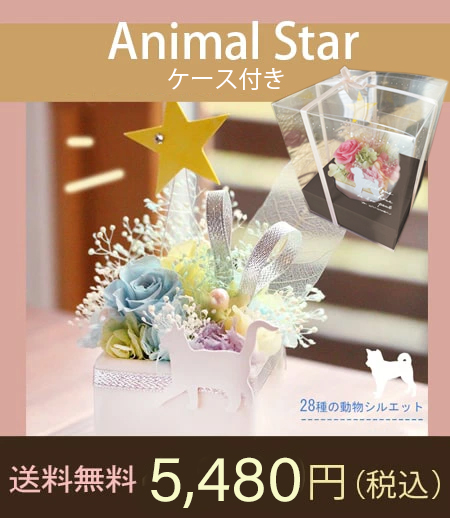 Animal Star