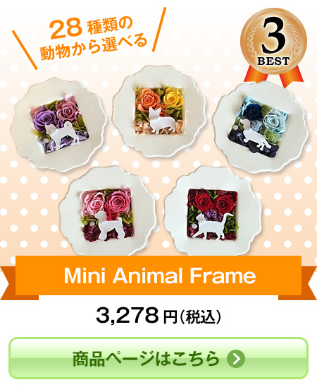 Mini Animal Frame
