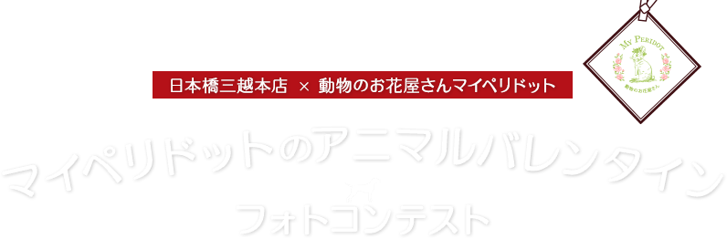 日本橋三越本店 × 動物のお花屋さんマイペリドット／マイペリドットのアニマルバレンタインフォトコンテスト