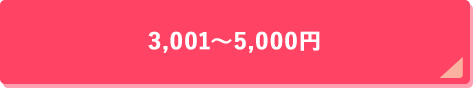 3,001円～5,000円