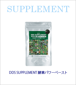 楽天市場】DDS SUPPLEMENT 酵素パワーペースト : サプリメント通販