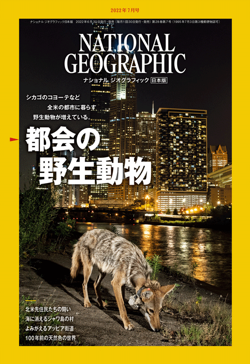 ナショナル ジオグラフィック日本版（NATIONAL GEOGRAPHIC，ナショジオ） 2022年7月号表紙
