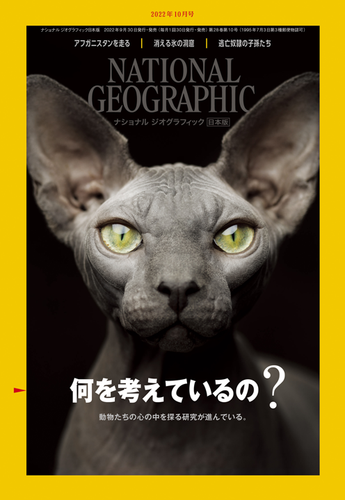 ナショナル ジオグラフィック日本版（NATIONAL GEOGRAPHIC，ナショジオ） 2022年10月号表紙