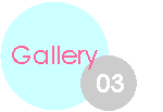 Gallery03