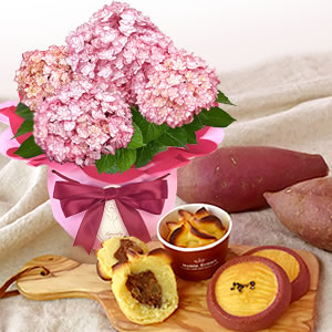 
4号鉢ひな祭りルナ ピンク+林檎ポテトとサブレ母の日
