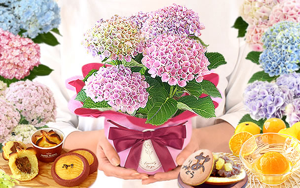 
お菓子と花のプレゼント。母の日におすすめ
